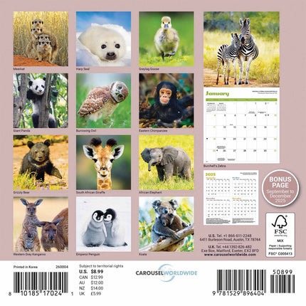 CarouselCalendars Baby Dieren Mini Kalender 2026