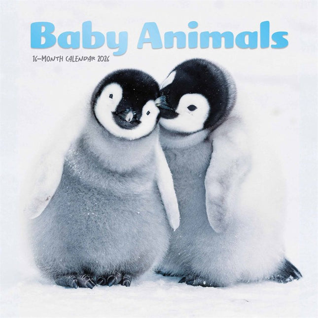 CarouselCalendars Baby Dieren Mini Kalender 2026