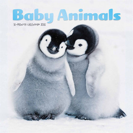 CarouselCalendars Baby Dieren Mini Kalender 2026