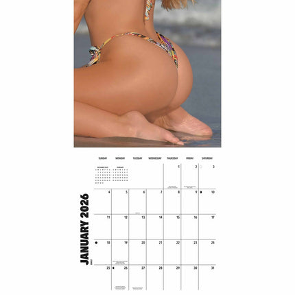CarouselCalendars Billen Kalender 2026