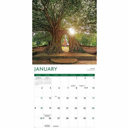 CarouselCalendars Bomen Kalender 2026