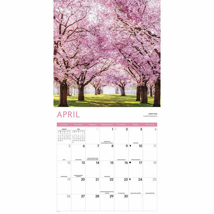 CarouselCalendars Bomen Kalender 2026
