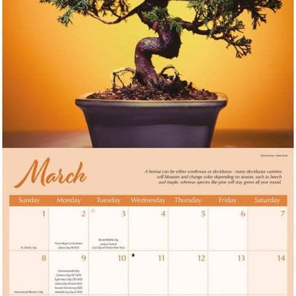 CarouselCalendars Bonsai Kalender 2026
