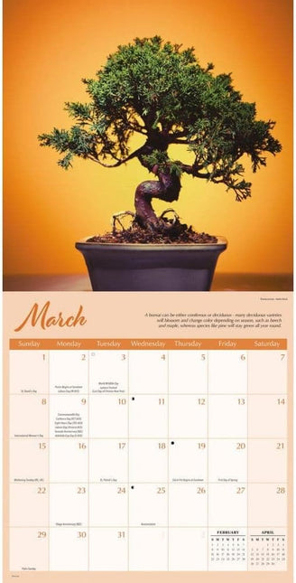 CarouselCalendars Bonsai Kalender 2026