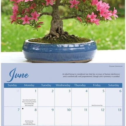 CarouselCalendars Bonsai Kalender 2026