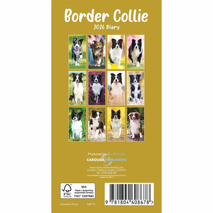 CarouselCalendars Border Collies Slim Agenda 2026