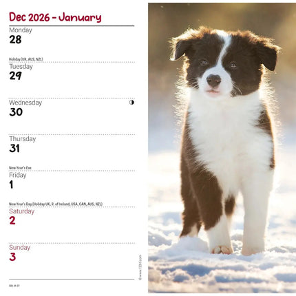CarouselCalendars Border Collies Slim Agenda 2027