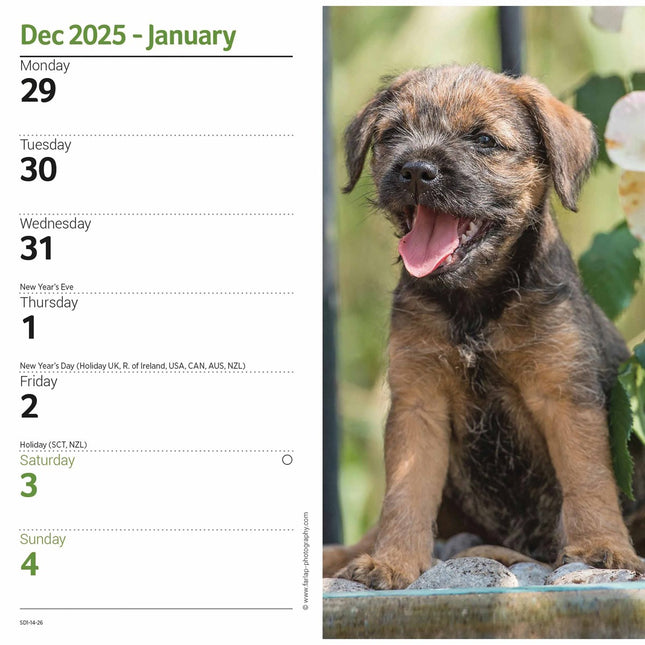 CarouselCalendars Border Terrier Slim Agenda 2026