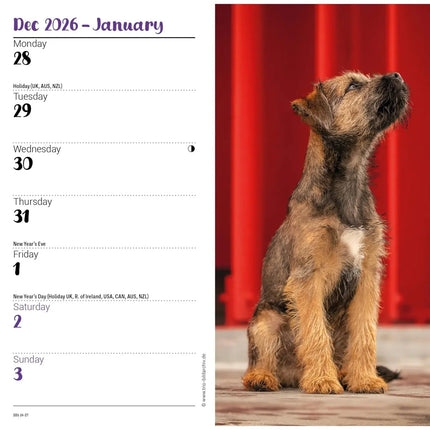 CarouselCalendars Border Terrier Slim Agenda 2027