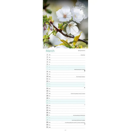 CarouselCalendars Botanische tuinen, Kew In Kleur Kalender 2027 Slimline