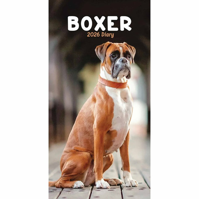 CarouselCalendars Boxer Slim Agenda 2026