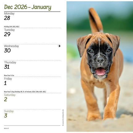 CarouselCalendars Boxer Slim Agenda 2027
