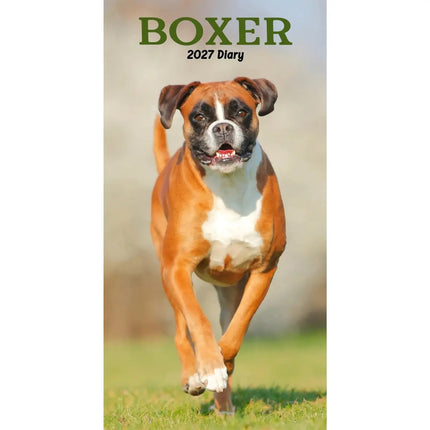 CarouselCalendars Boxer Slim Agenda 2027