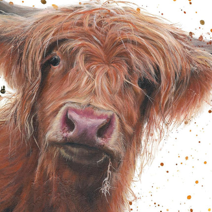 CarouselCalendars Bree Merryn Schotse Hooglander Notitieboek