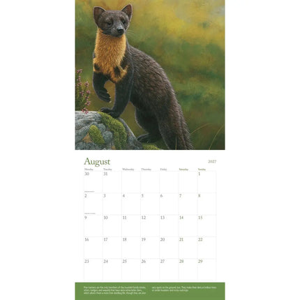 CarouselCalendars British Wildlife Kalender 2027