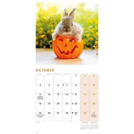 CarouselCalendars Bunnies Kalender 2026 Mini