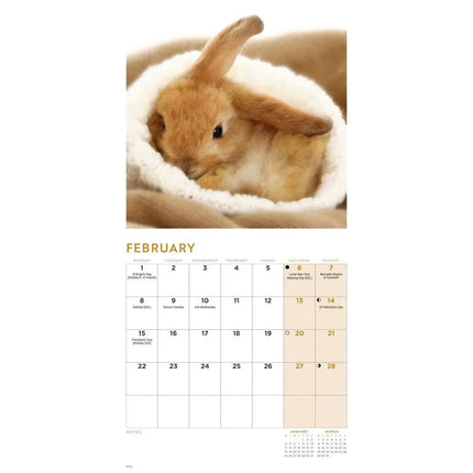 CarouselCalendars Bunnies Kalender 2026 Mini