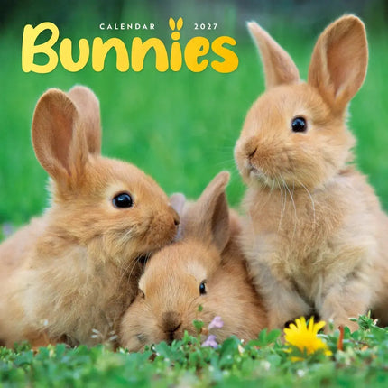CarouselCalendars Bunnies Kalender 2026 Mini