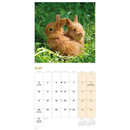 CarouselCalendars Bunnies Kalender 2027 Mini