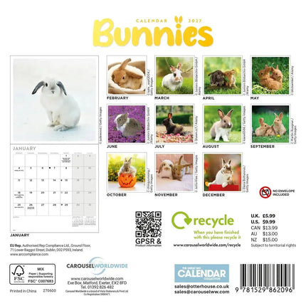 CarouselCalendars Bunnies Kalender 2027 Mini