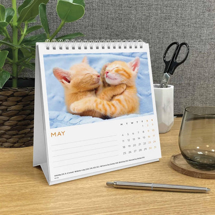 CarouselCalendars Cat Naps Deskkalender 2026