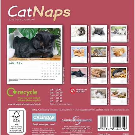 CarouselCalendars Cat Naps Deskkalender 2026
