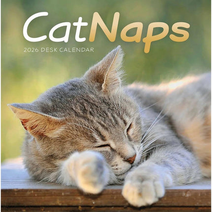 CarouselCalendars Cat Naps Deskkalender 2026