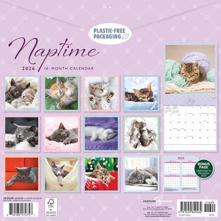 CarouselCalendars Cat Naps Kalender 2026