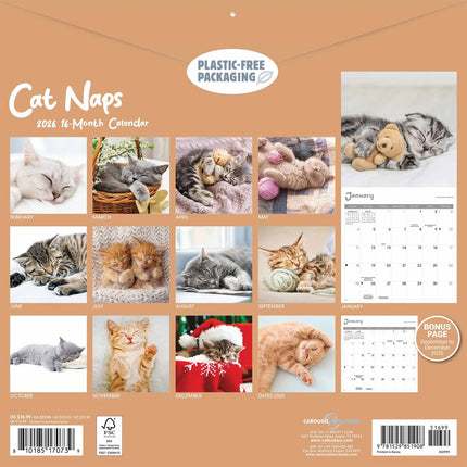 CarouselCalendars Cat Naps Kalender 2026