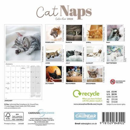 CarouselCalendars Cat Naps Mini Kalender 2026