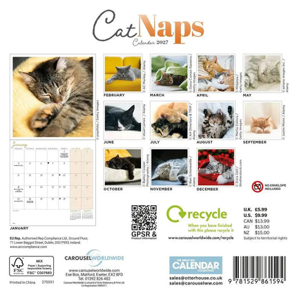 CarouselCalendars Cat Naps Mini Kalender 2027