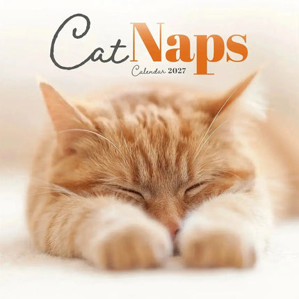 CarouselCalendars Cat Naps Mini Kalender 2027