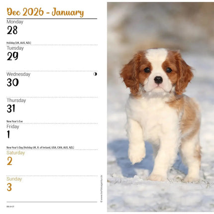CarouselCalendars Cavalier King Charles Spaniel Slim Agenda 2027