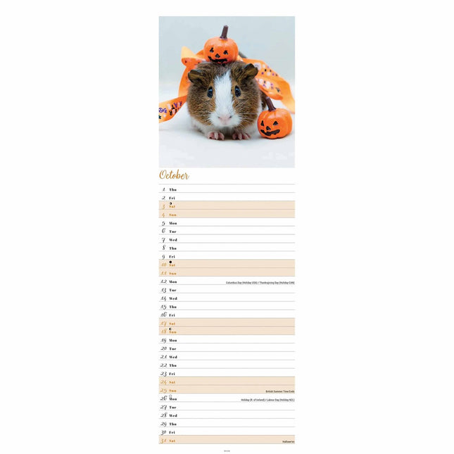 CarouselCalendars Cavia Kalender 2026 Slimline