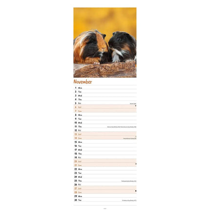 CarouselCalendars Cavia Kalender 2026 Slimline
