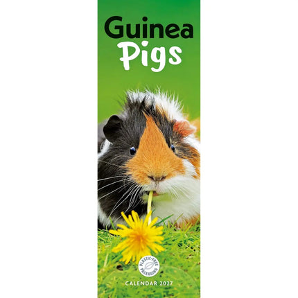 CarouselCalendars Cavia Kalender 2026 Slimline