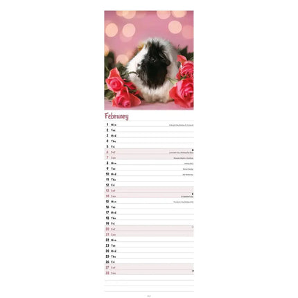 CarouselCalendars Cavia Kalender 2027 Slimline