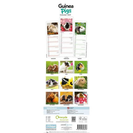CarouselCalendars Cavia Kalender 2027 Slimline