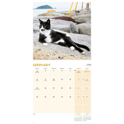 CarouselCalendars Comedy Pet Kalender 2027