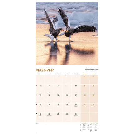 CarouselCalendars Comedy Wildlife Kalender 2027