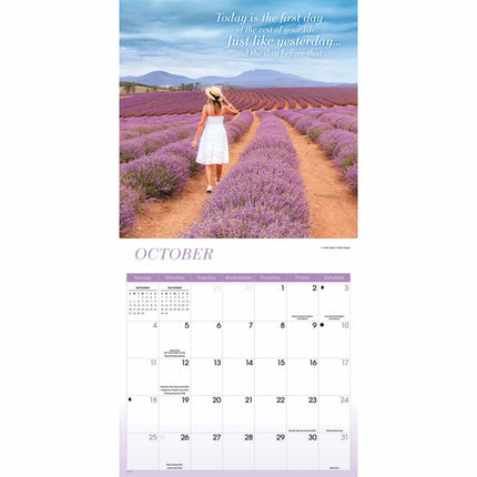 CarouselCalendars Demotivation Kalender 2026