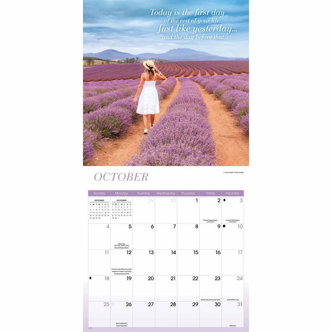 CarouselCalendars Demotivation Kalender 2026