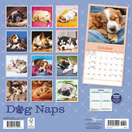 CarouselCalendars Dog Naps Kalender 2026