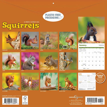 CarouselCalendars Eekhoorn Kalender 2026