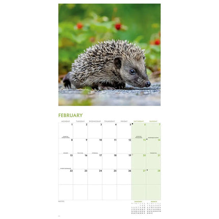 CarouselCalendars Egel Kalender 2027