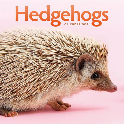 CarouselCalendars Egel Kalender 2027