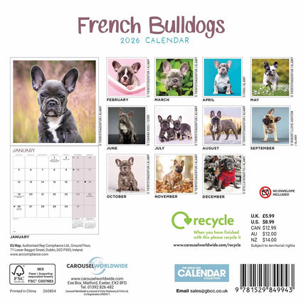 CarouselCalendars Franse Bulldog Kalender 2027 Mini