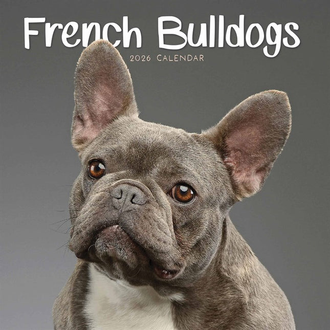 CarouselCalendars Franse Bulldog Kalender 2027 Mini