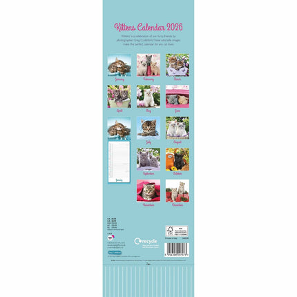 CarouselCalendars Greg Cuddiford, Kittens Kalender 2026 Slimline