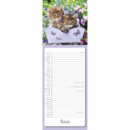 CarouselCalendars Greg Cuddiford, Kittens Kalender 2026 Slimline